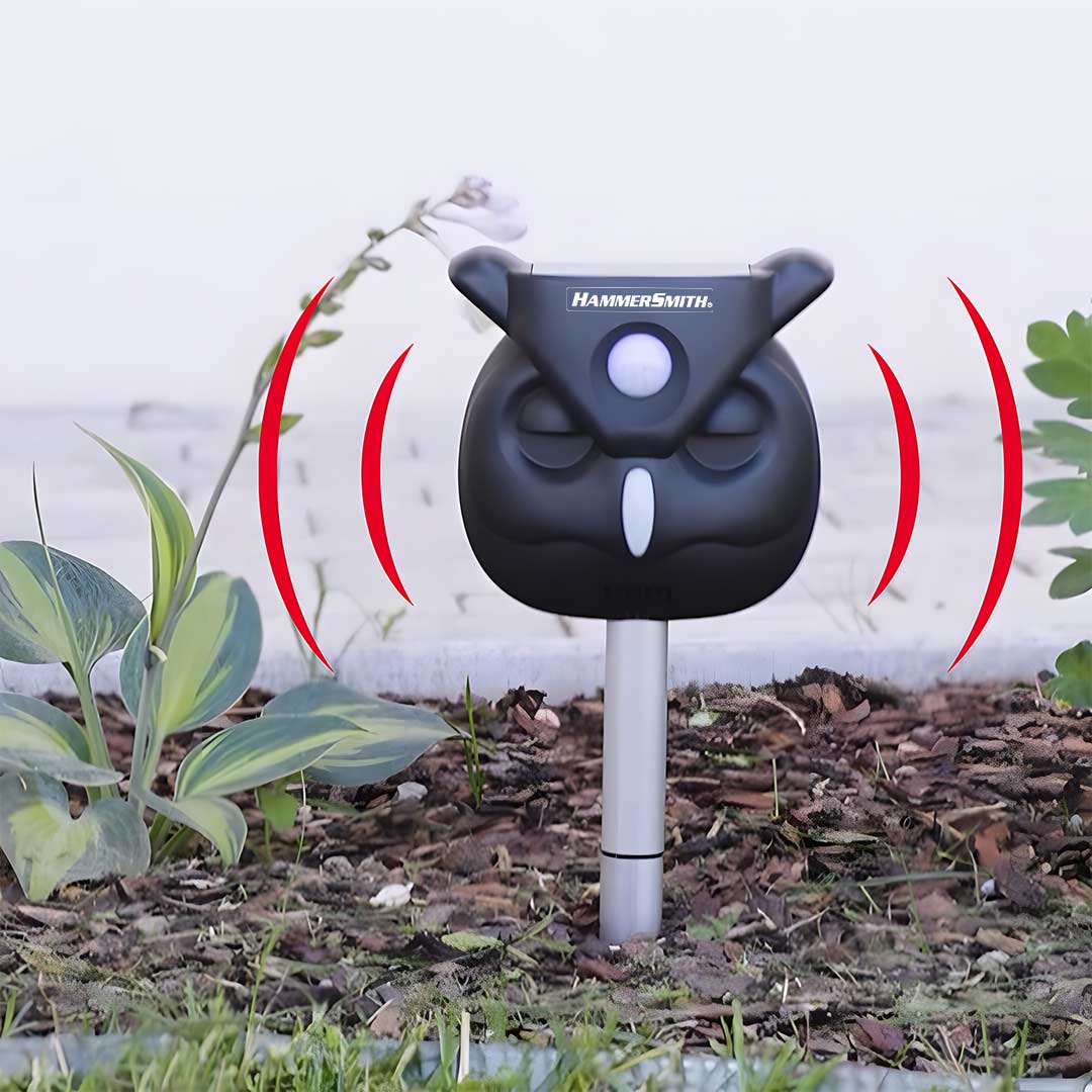 01_HammersmithHawkPatrol_Angebot.jpg