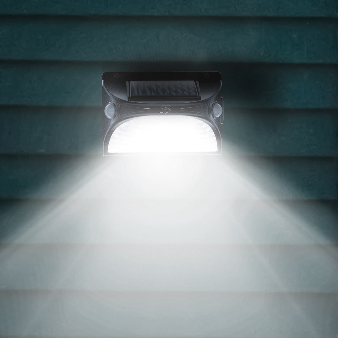 01a_PantaSpectrumLight_.jpg