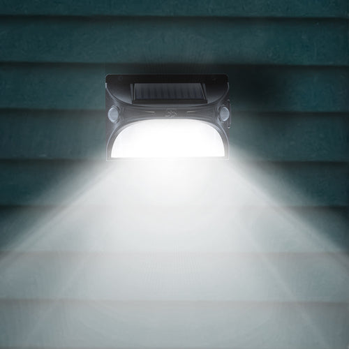 01a_PantaSpectrumLight_.jpg