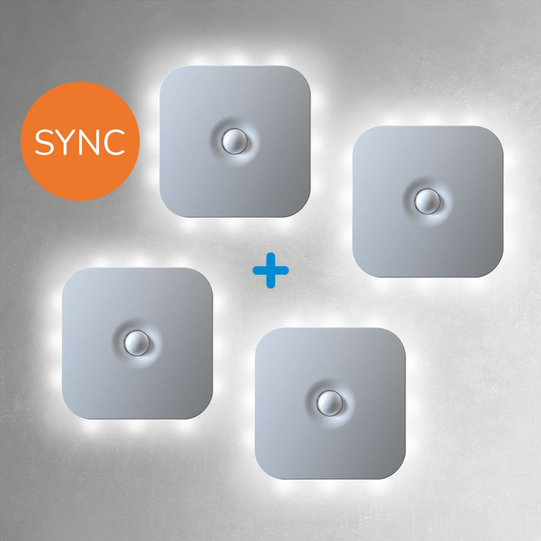 01e_HandyLux_LightGuide_2plus2_Sync.jpg