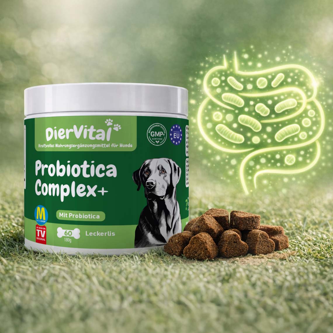 Hunde-Probiotikum ‚Probiotica Complex+‘ mit Leckerlis und symbolischer Darmgrafik.