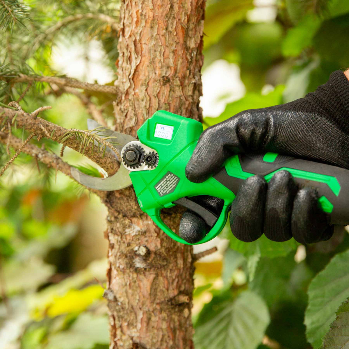 Hammersmith Akku-Gartenschere beim mühelosen Schneiden eines Zweigs