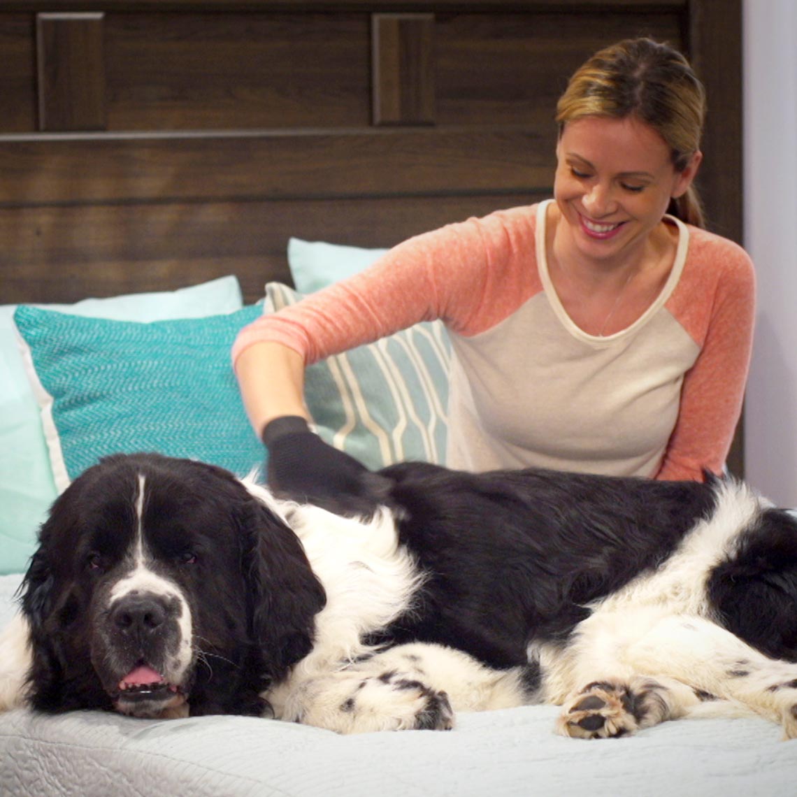 True Touch Handschuh beim sanften Bürsten eines langhaarigen Hundes auf dem Bett.