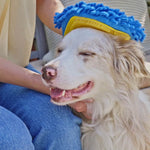 02_Webbilder_DoGlove_StreichelnBuerstenTrocknen.jpg