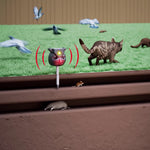 03_HammersmithHawkPatrol_360Grad.jpg