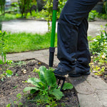 Die Hammersmith Rayzor Shovel wird zum Lösen von Erde und Wurzeln rund um einen Baumstumpf eingesetzt.