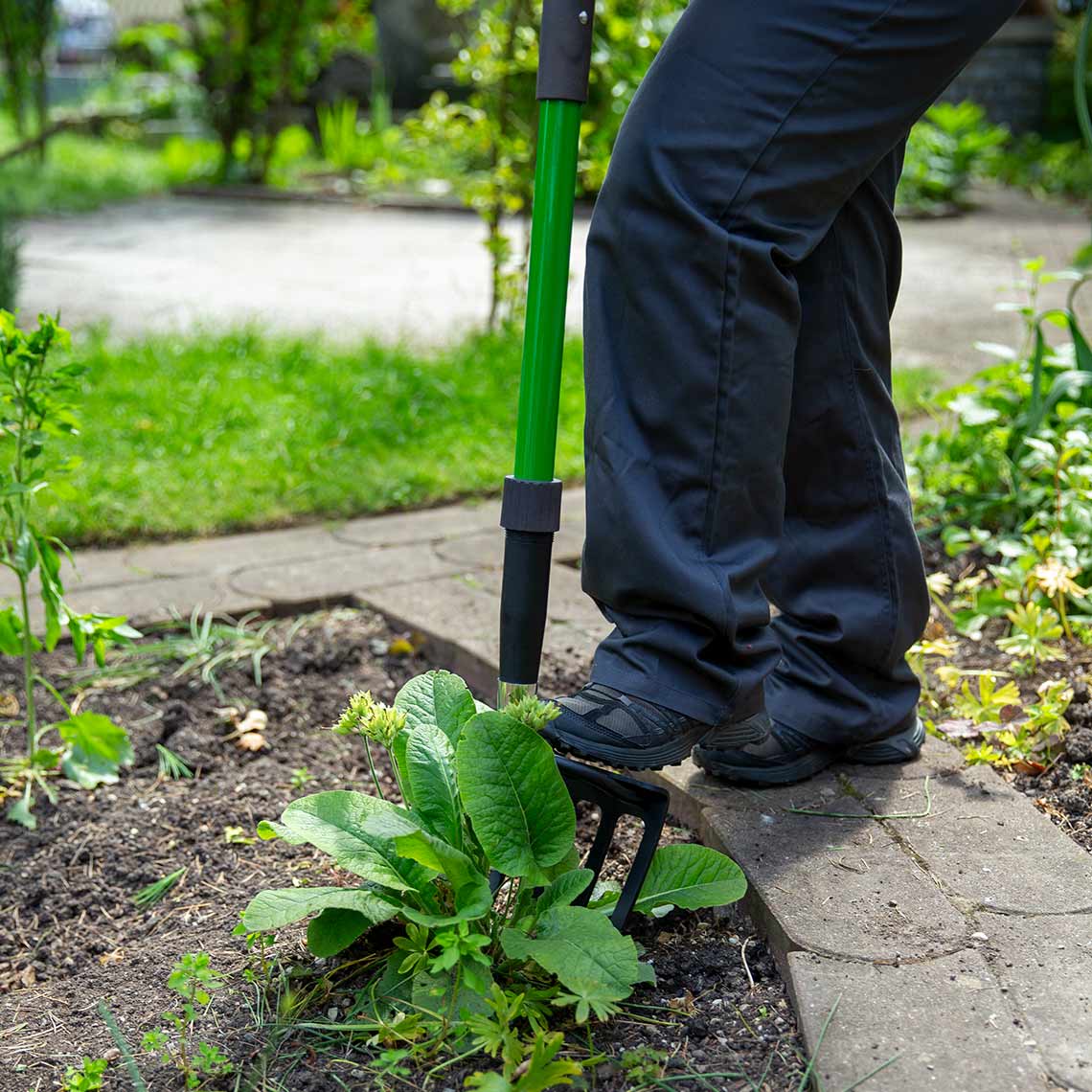 Die Hammersmith Rayzor Shovel wird zum Lösen von Erde und Wurzeln rund um einen Baumstumpf eingesetzt.