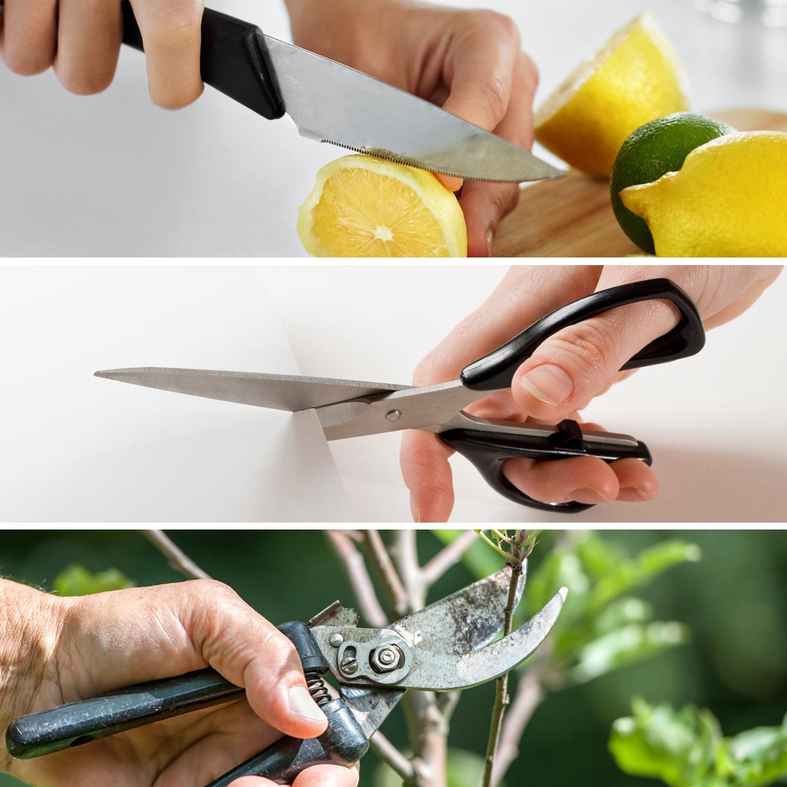 Messer, Schere und Gartenschere im Einsatz – ideal zur Veranschaulichung der Anwendung des Livington BladeStar.