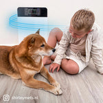 Kind sitzt mit Hund auf dem Boden, im Hintergrund der Livington Air Purifier zur Luftreinigung.