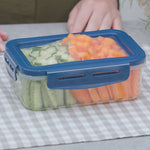 Frisches Gemüse hygienisch verpackt im praktischen Livington Flex & Fresh Frischhaltedosenset.