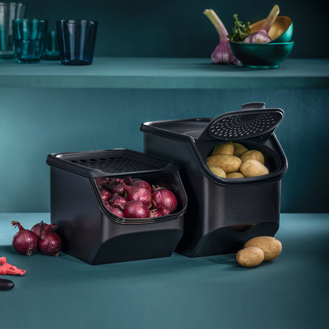 Zwei Tupperware-Behälter: Tupperware Potato Smart mit Kartoffeln, daneben Zwiebelbehälter mit roten Zwiebeln.