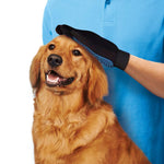 True Touch Handschuh beim Bürsten eines glücklichen Hundes durch eine Person in blauem Shirt.
