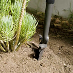 Die Hammersmith Rayzor Shovel wird verwendet, um Erde direkt neben einer Pflanze zu lockern.