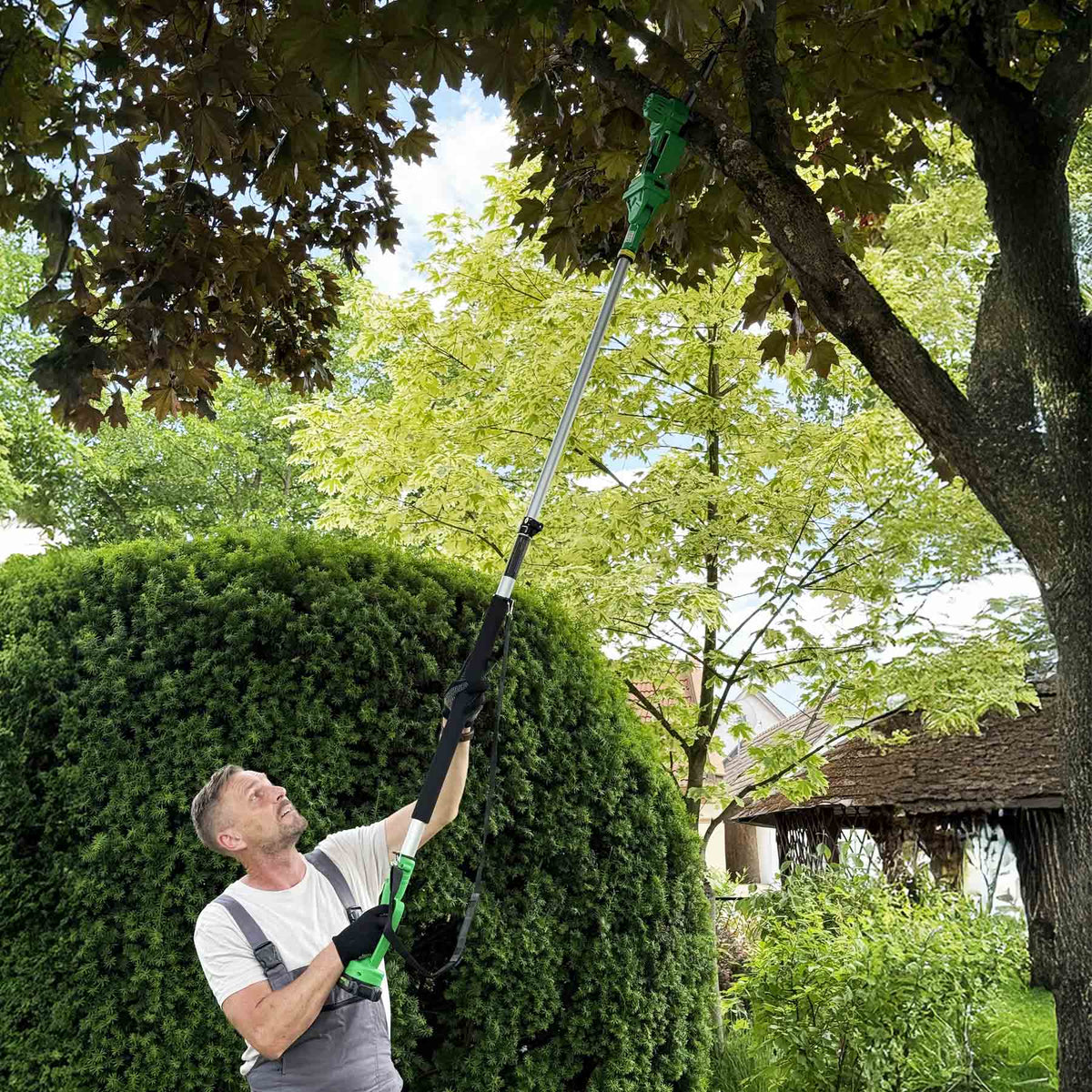 Mann sägt in seinem Garten mit der Hammersmith PocketSaw Pro kombiniert mit dem Teleskoptsiel einen Ast von einem Baum