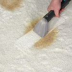 Livington Spot Blast entfernt sichtbar Schmutzflecken aus hellem Teppich mit Saugfunktion.