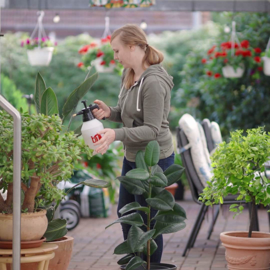 05_PlantBliz_ganzjaehrig.jpg