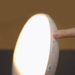 06_HandyLUX_ComfyWake.jpg