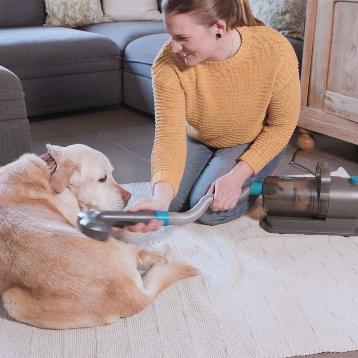 Eine Frau kniet auf dem Wohnzimmerteppich und bürstet einen liegenden Labrador mit einem Staubsauger-Bürstenaufsatz; der Hund wirkt ruhig, während das Gerät Tierhaare direkt aufnimmt.