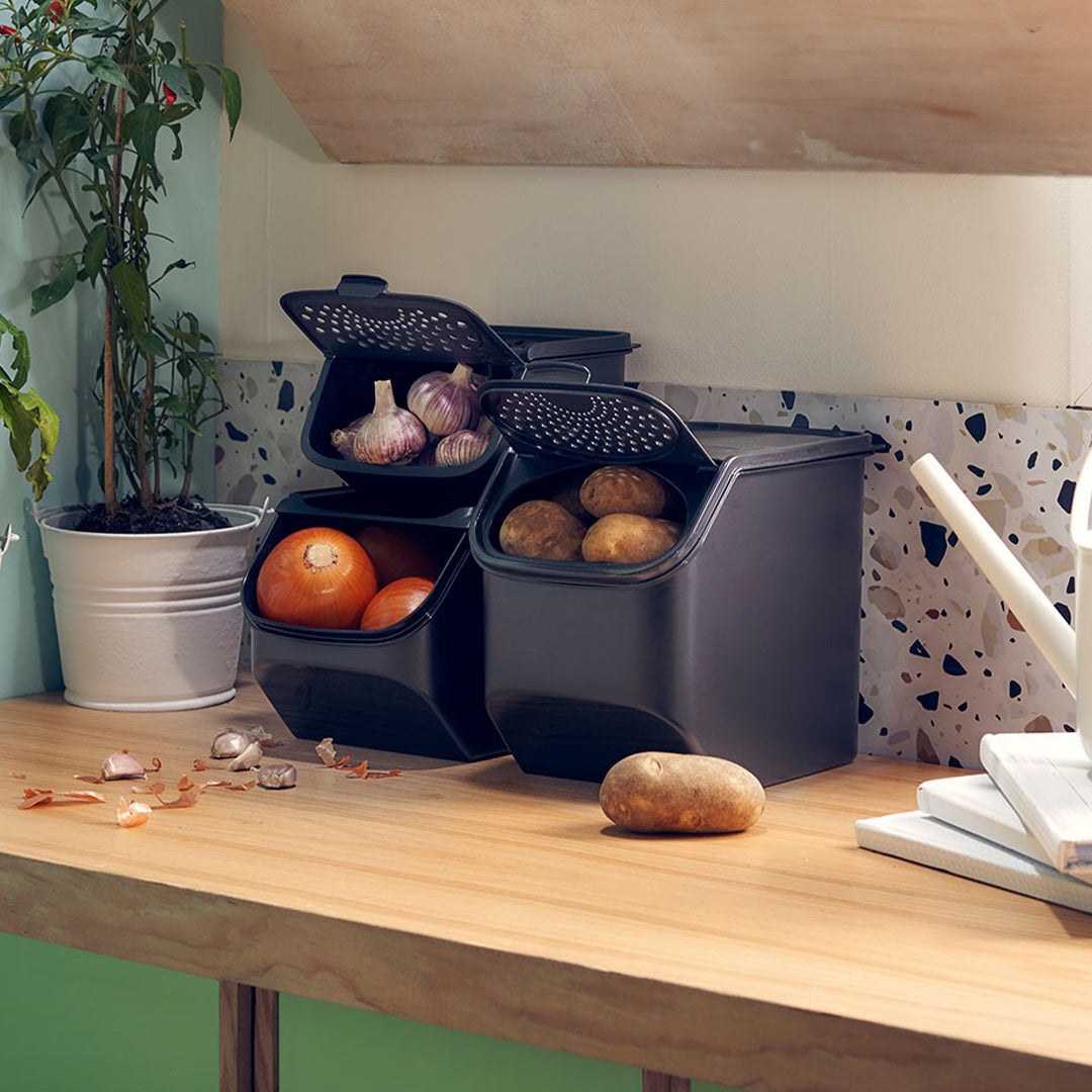 Drei Tupperware Boxen auf der Küchenarbeitsplatte, gefüllt mit Zwiebeln, Kartoffeln und Knoblauch.