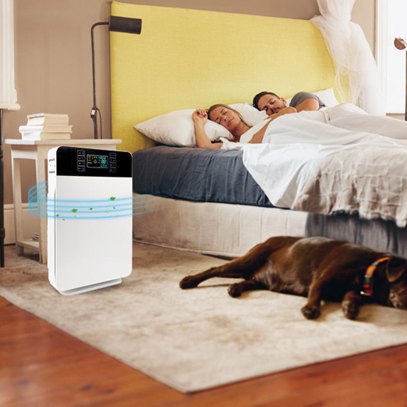 Schlafendes Paar mit Hund im Schlafzimmer, der Livington Air Purifier steht neben dem Bett.