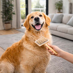 Fellpflege bei einem Hund mit Bürste im Wohnraum.