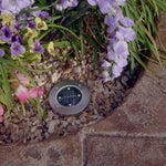 Solar-LED-Bodenleuchte im Blumenbeet bei Tag.