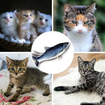 Flippity Fish – das interaktive Spielzeug für Katzen jeden Alters: vom Kätzchen bis zur Seniorkatze.