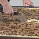 Livington Spot Blast reinigt Flecken aus einem gemusterten Teppich.