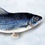 Flippity Fish – realistisch gestalteter Spielzeugfisch für Katzen mit beweglichem Schwanz und Textur.