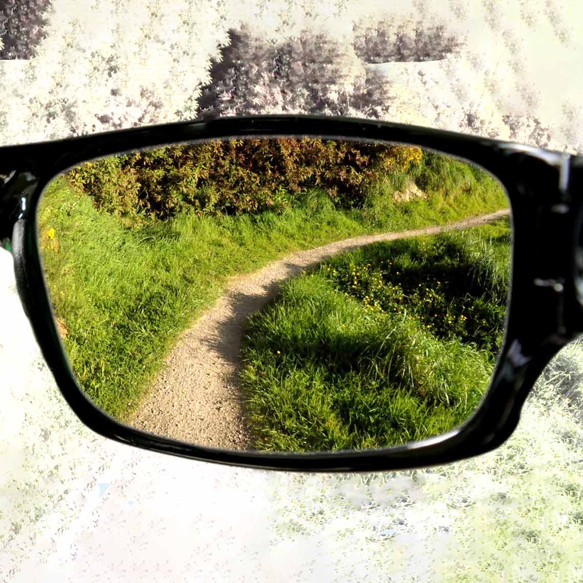 Klarer Blick auf einen Waldweg durch HD Polar View – verbesserter Kontrast bei hellem Sonnenlicht.