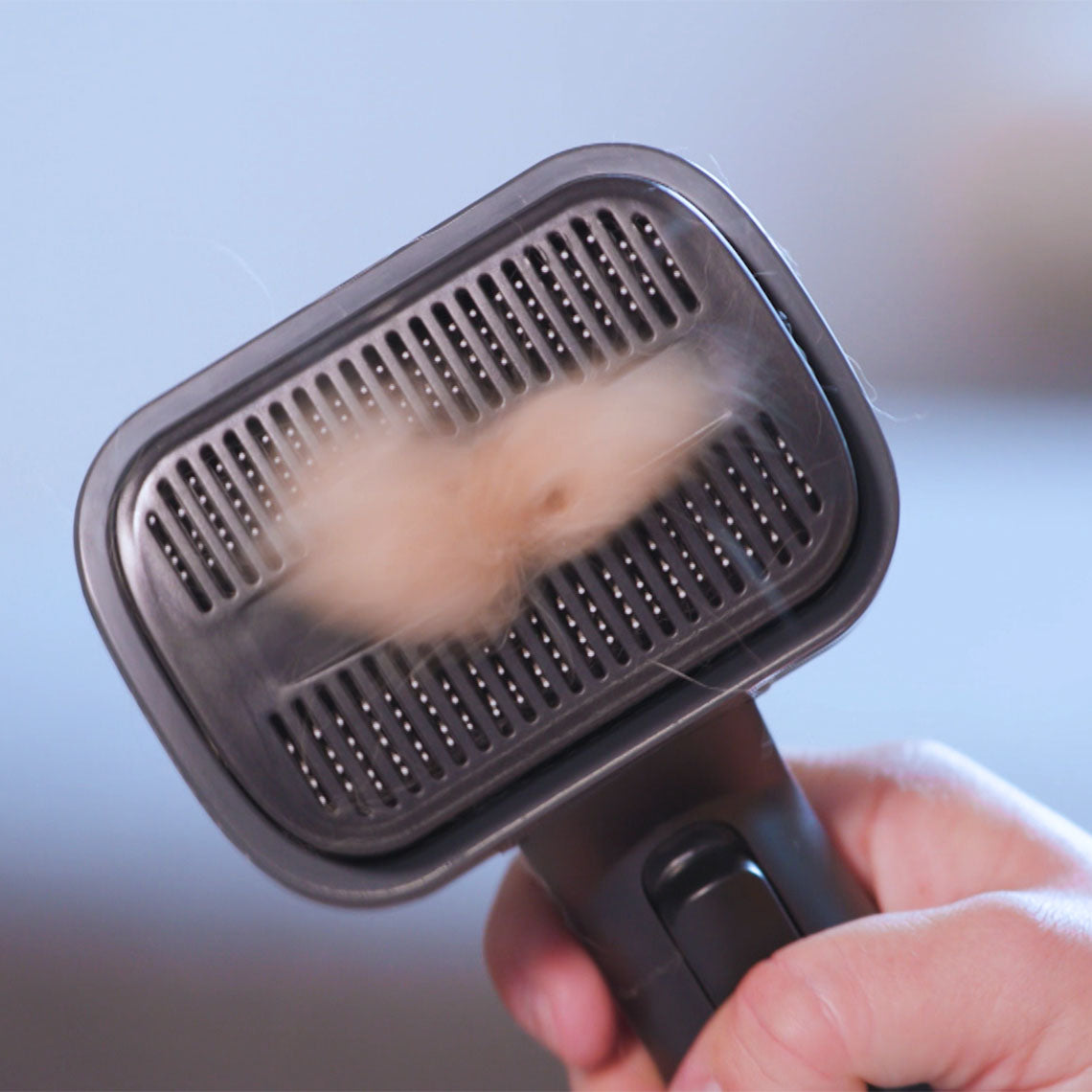 Nahaufnahme eines Tierhaartrimmer-Aufsatzes, an dem sich bereits aufgesaugte Tierhaare gesammelt haben. Die Haare werden sichtbar in den Borsten gehalten, während der Aufsatz in einer Hand gehalten wird – die Haare werden direkt während des Bürstens entfernt.
