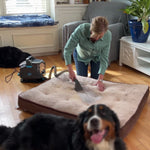 Frau reinigt ein Hundebett mit dem Livington Spot Blast, Hund liegt daneben.