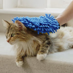 13_Webbilder_DoGlove_Katzen.jpg
