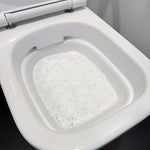 2_Pure100_FoamFlush_ohneSchrubben.jpg