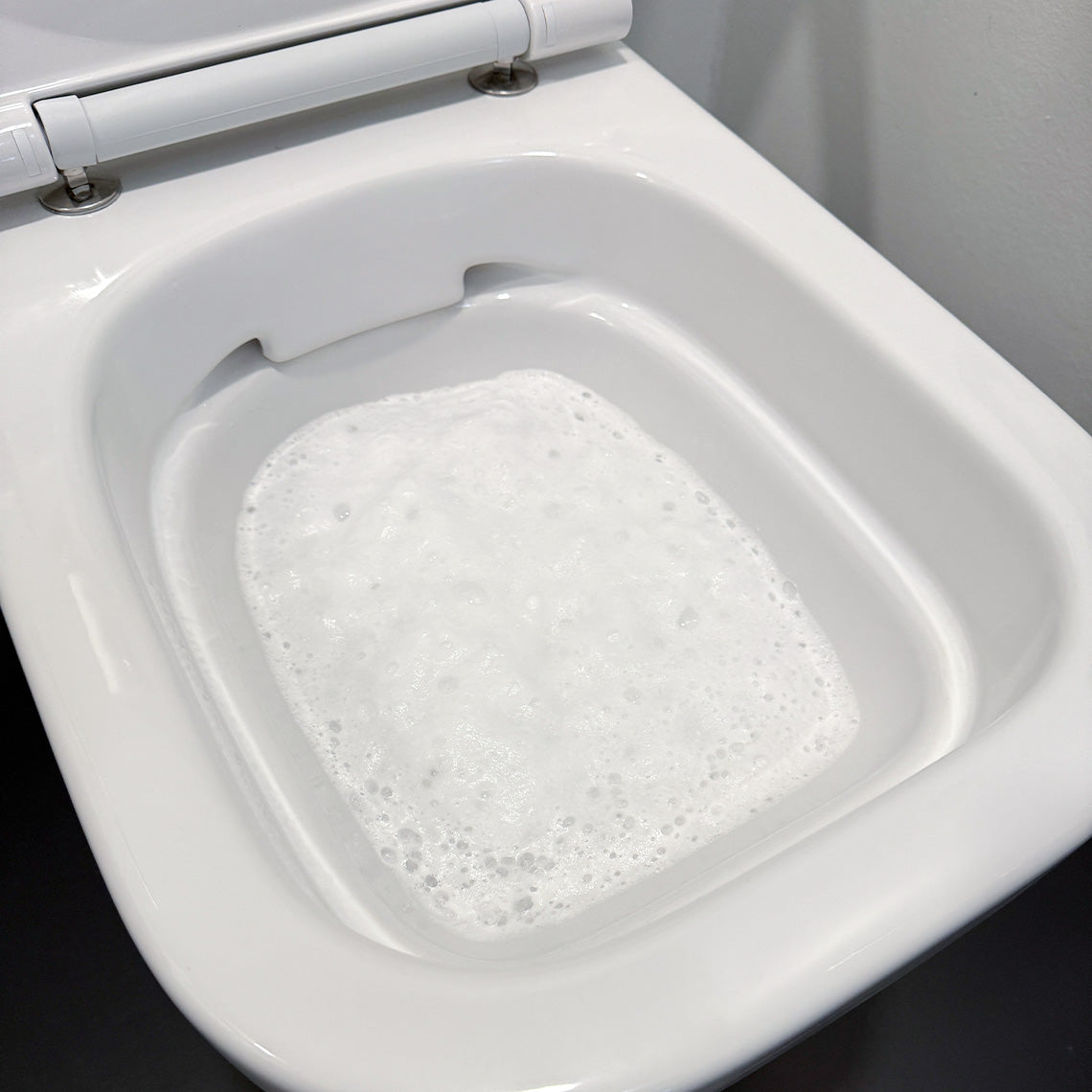2_Pure100_FoamFlush_ohneSchrubben.jpg