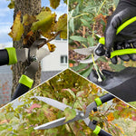Gartenscheren-Set im Einsatz – Astschere, Heckenschere und Gartenschere schneiden präzise Äste, Sträucher und Pflanzen im Garten.