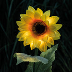 Eine beleuchtete künstliche Sonnenblume mit Solarbetrieb leuchtet in der Dunkelheit.