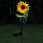 M34867_SolarSonnenblume_kl_PIM_low.jpg