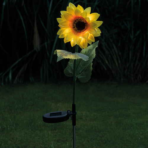 M34867_SolarSonnenblume_kl_PIM_low.jpg