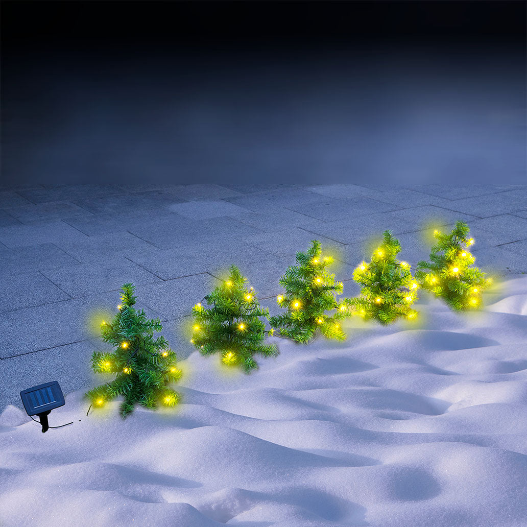 Fünf  kleine beleuchtete Tannenbäumchen mit warmweißen LEDs im Schnee, solarbetrieben – ideal als stimmungsvolle Deko im Außenbereich.
