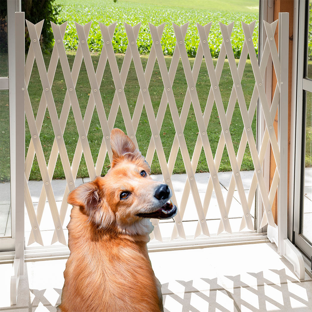 Ausziehbare Sicherheitswand aus Kunststoff im Türrahmen – ein Hund sitzt davor, zur Abgrenzung von Wohn- und Außenbereich.