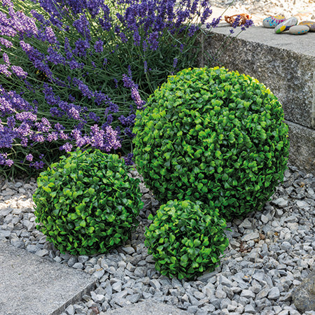 M37103_2_PIM_low.jpg