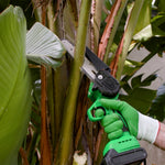 Eine Person schneidet im Garten Bananenpflanzen mit einer Mini-Handsäge zurück.
